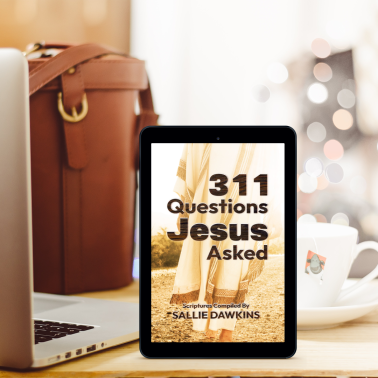 <span>311 Questions Jesus Asked:</span> 311 Questions Jesus Asked