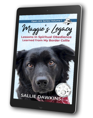 <span>Maggie's Legacy:</span> ebook