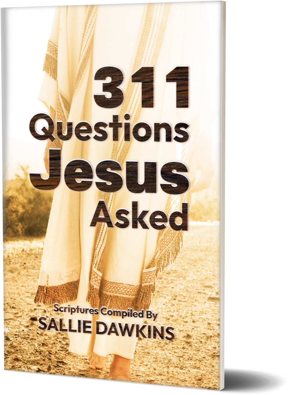 311 Questions Jesus Asked