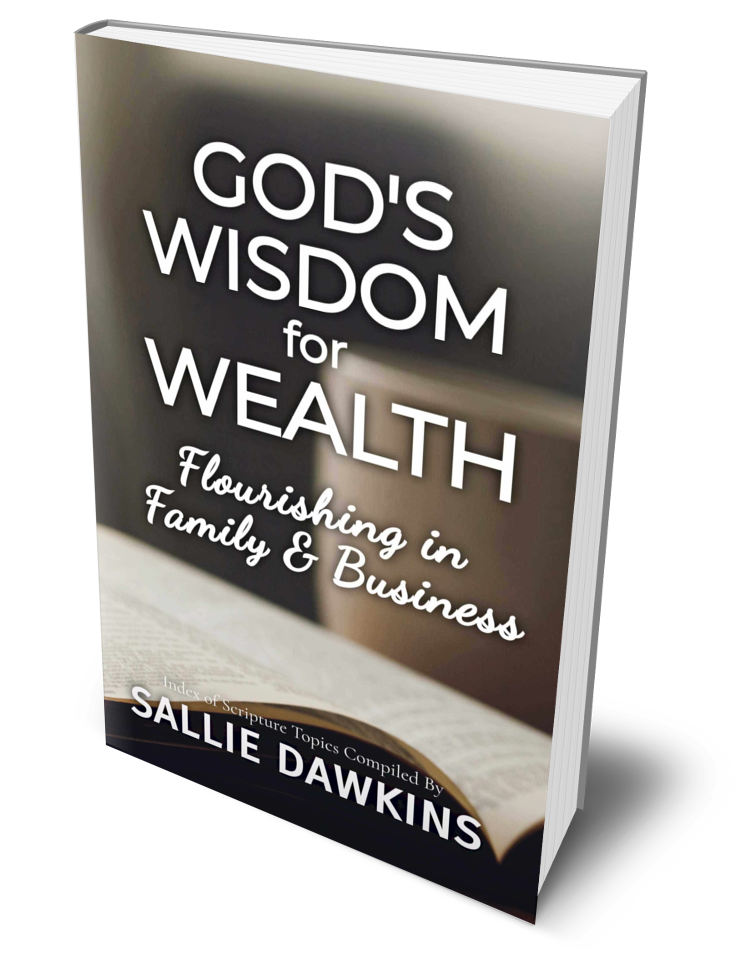 God's Wisdom for Wealth